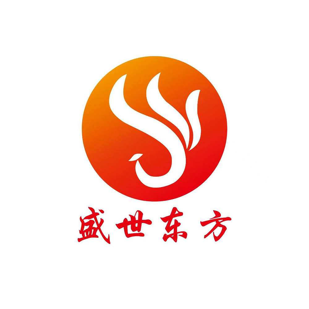 盛世东方(辽宁)科技发展有限责任公司